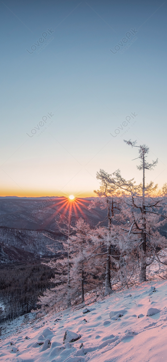 Sunrise Cell Phone Wallpaper In Daxingan Mountains Background Image Free Download