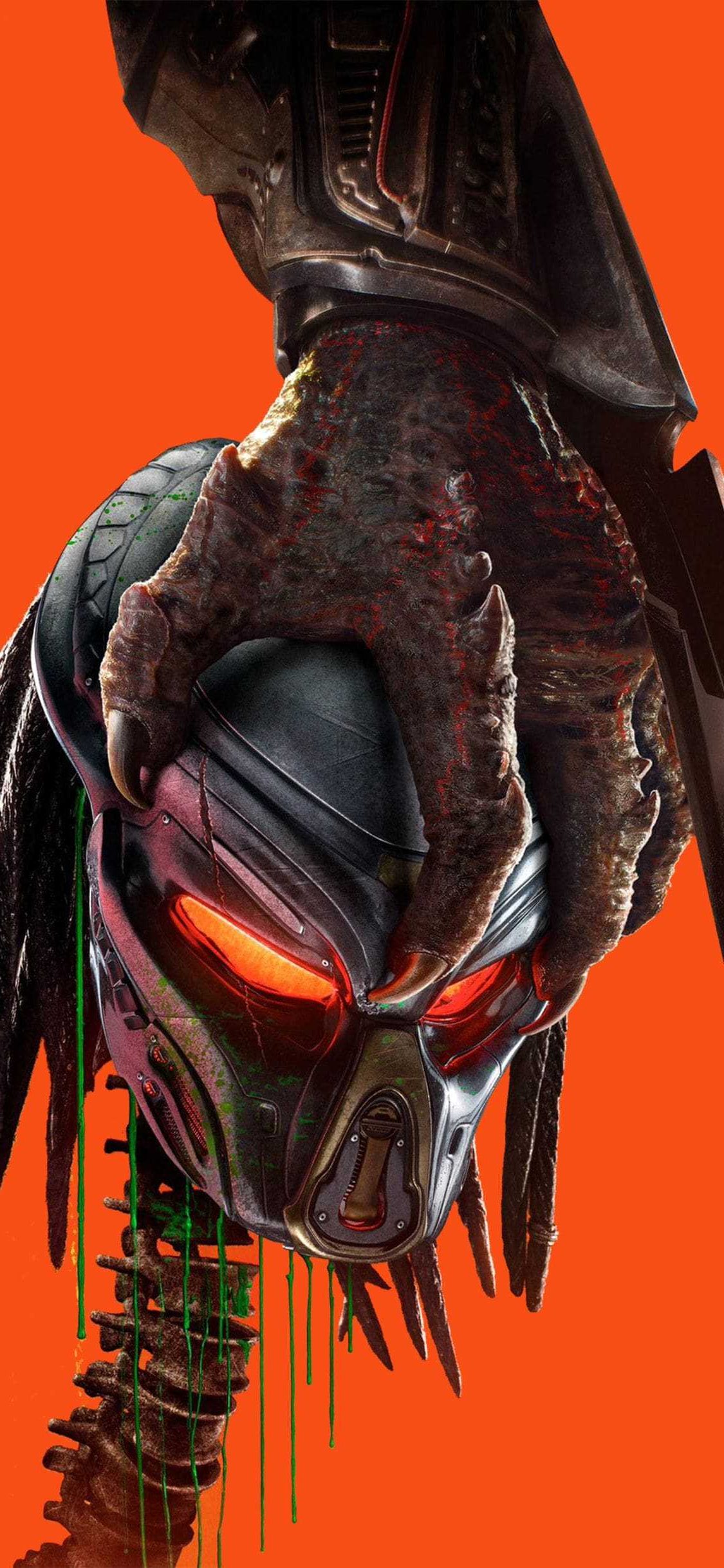 Predator Wallpaper