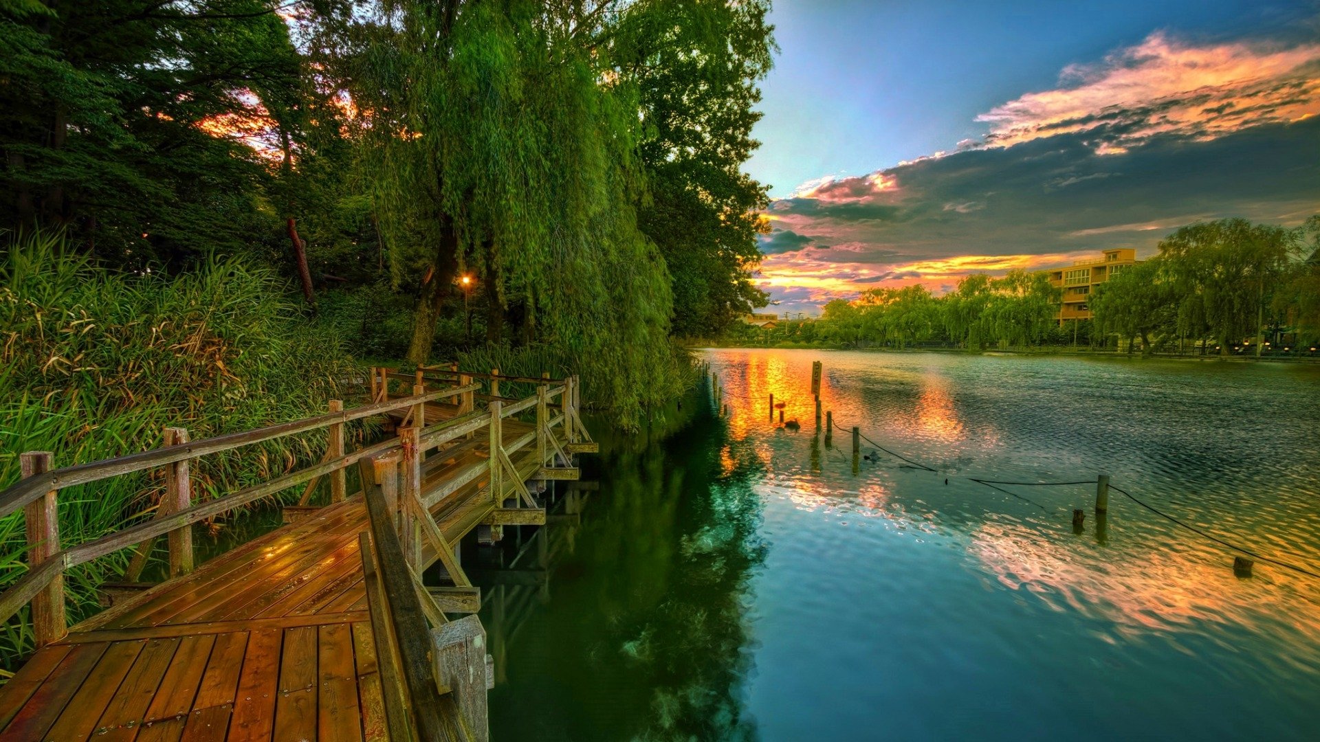 Bridge on the Lake