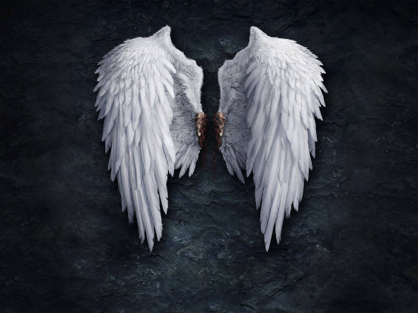 angels wings wallpaper Image. Wings wallpaper, Angel wallpaper, Angel wings hd