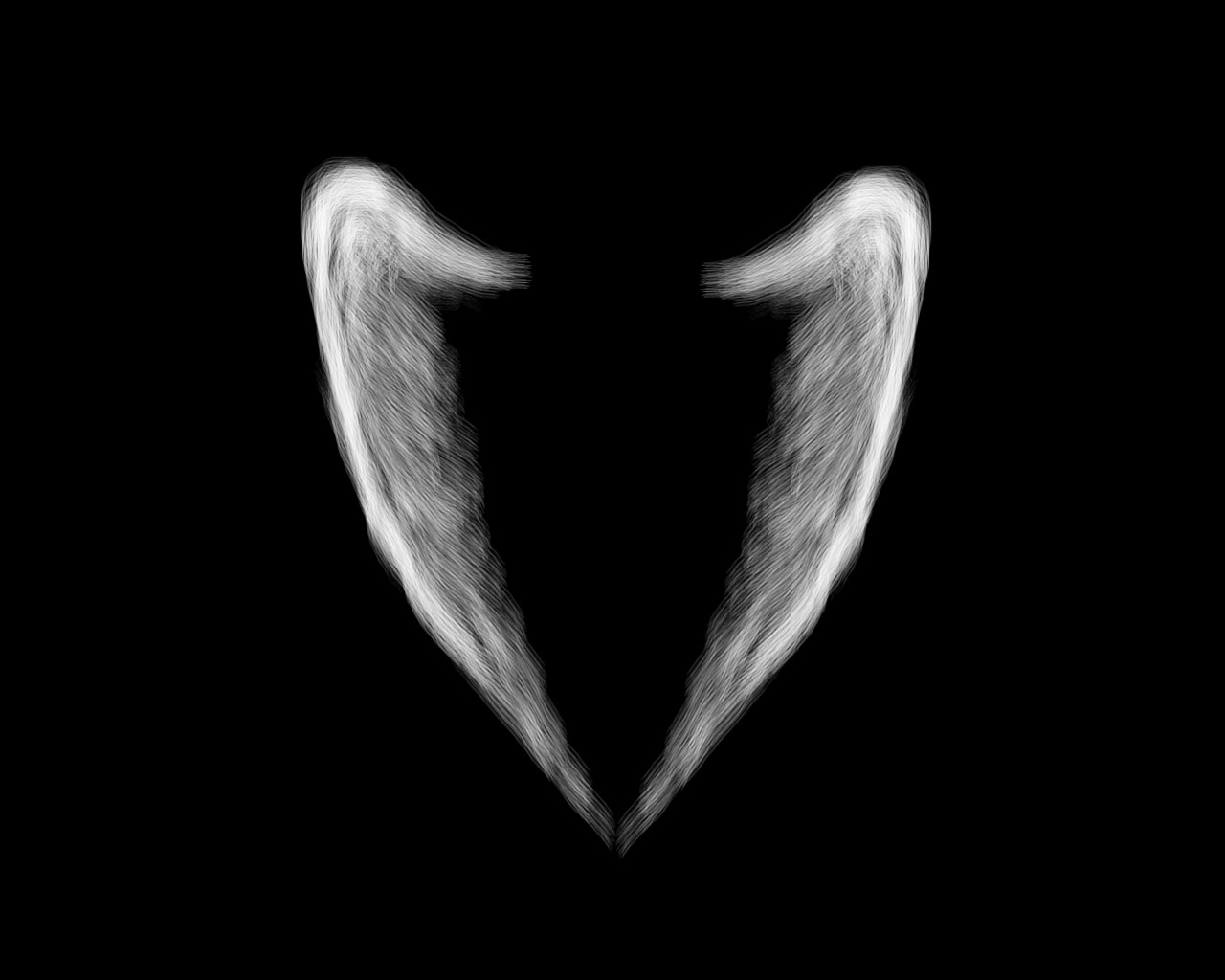 Free download Angel Wing Wallpaper Top HD Angel Wing Image LE HQ [1280x1024] for your Desktop, Mobile & Tablet. Explore Angel Wings Wallpaper. Angel Wallpaper Free, Beautiful Angels Wallpaper