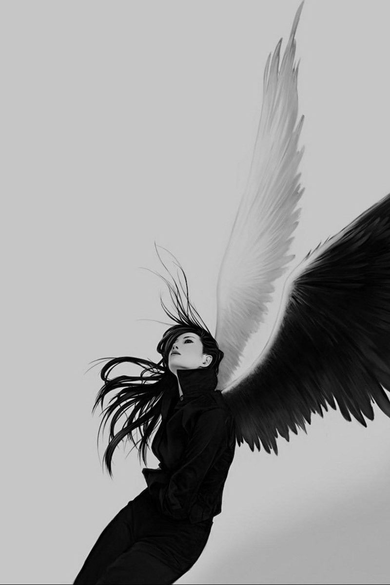 white and black angel wings