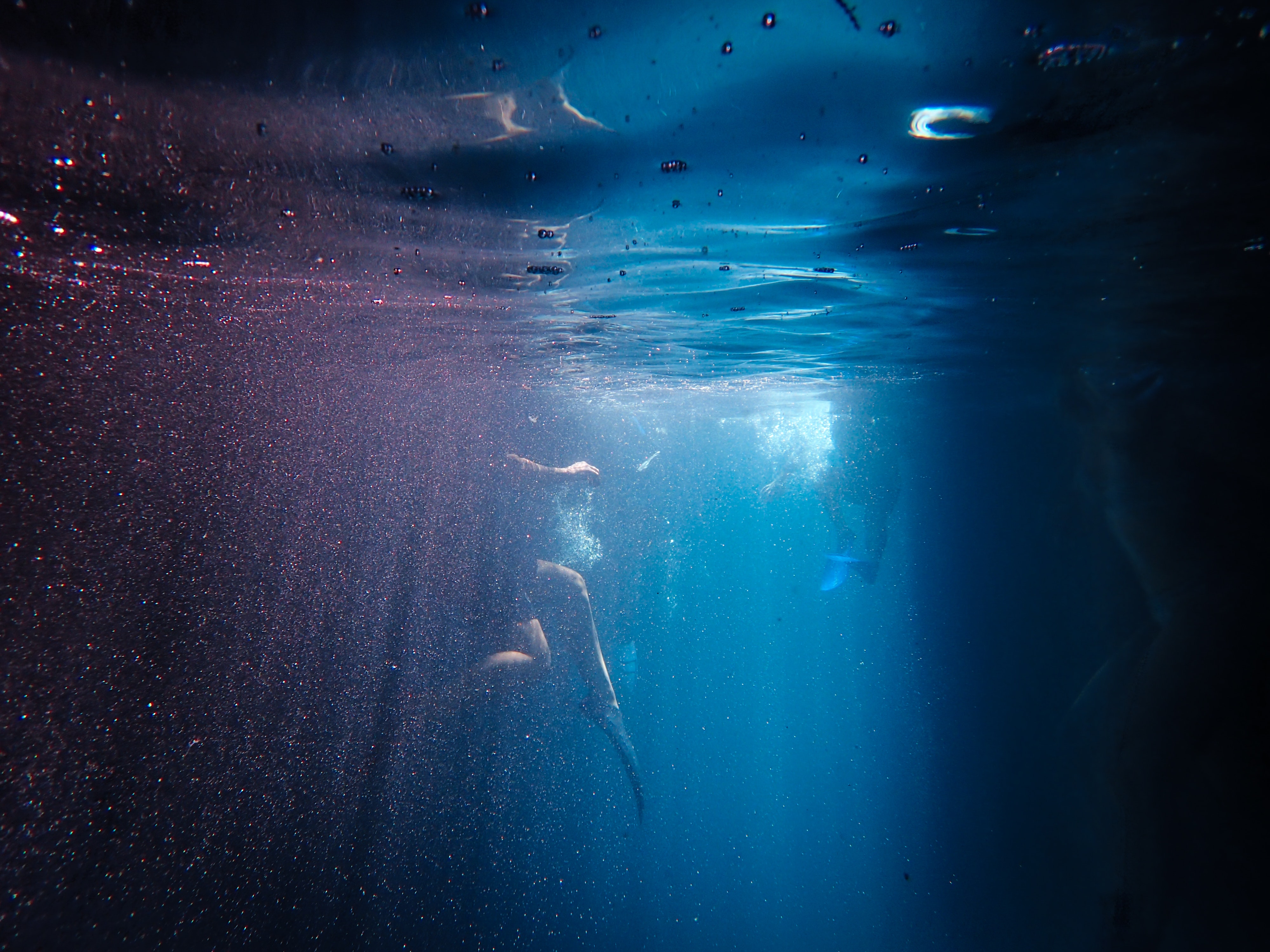 Underwater Photography · Free