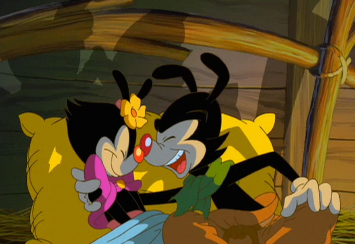 Wakko's Wish ✨ ideas. wakko, animaniacs, yakko