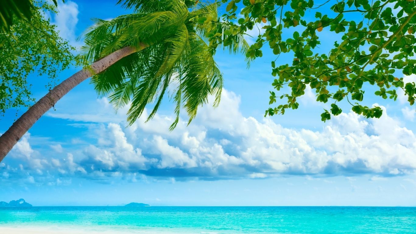 Summer Wallpaper 1366x768