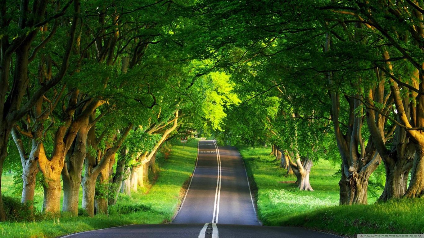 High Resolution Image Of Nature. Wallpaper Nature Summer Road HD Widescreen High Definition 136. Nature desktop wallpaper, Nature desktop, HD nature wallpaper