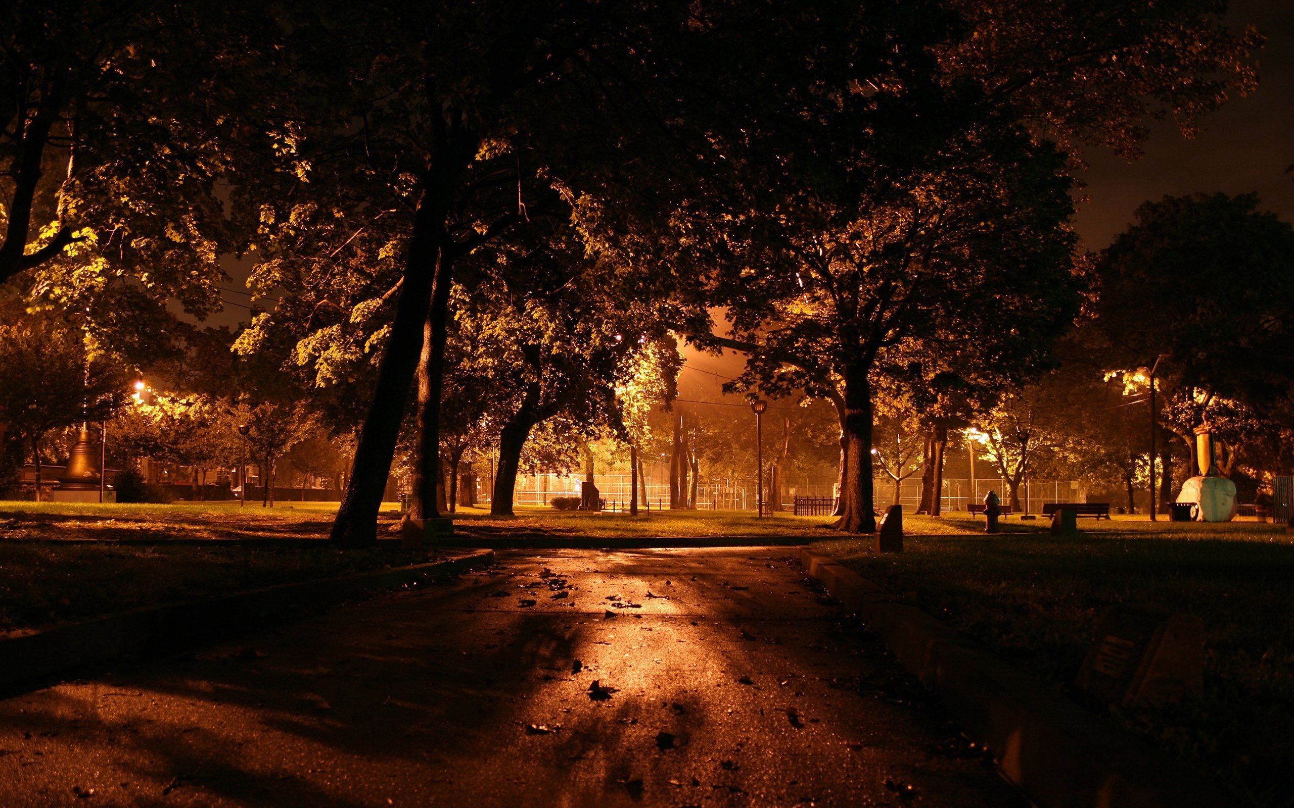 Park dark view wallpaperx1600