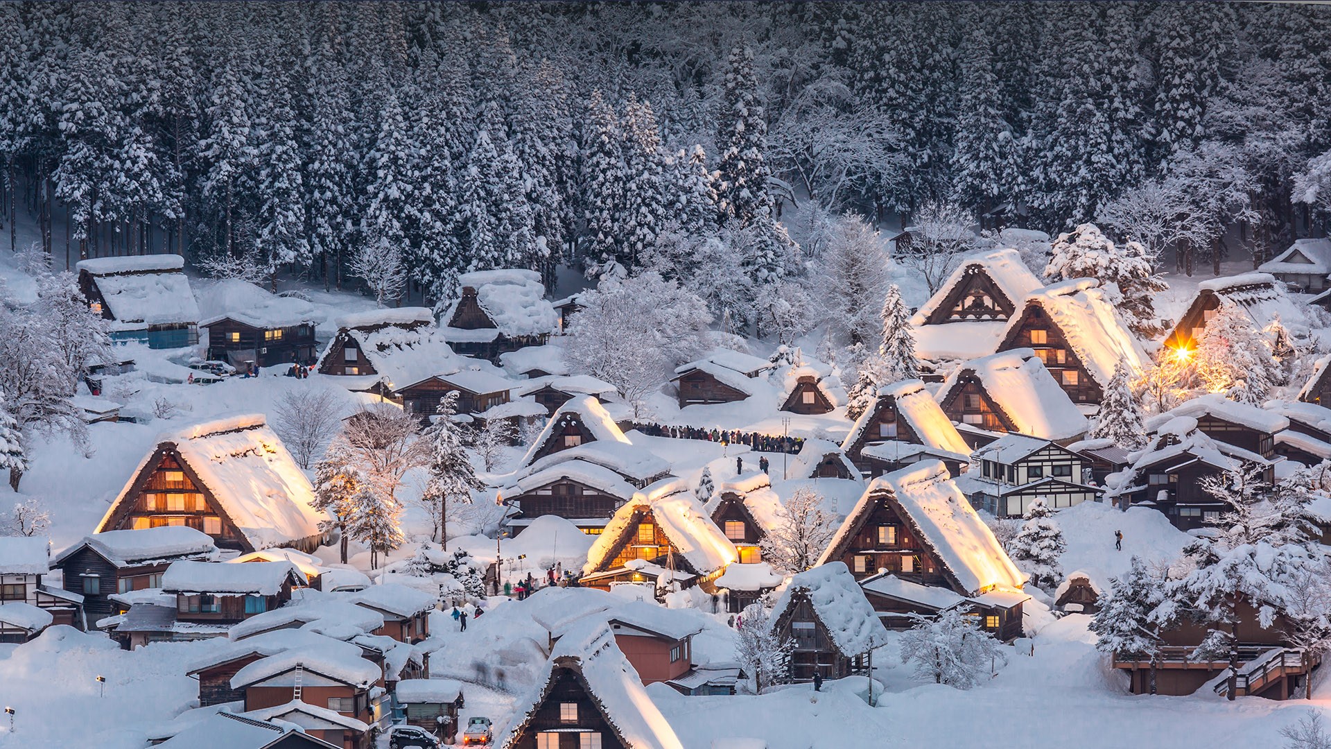 Shirakawa Go Light Up With Snowfall, Gifu Chūbu, Japan. Windows 10 Spotlight Image