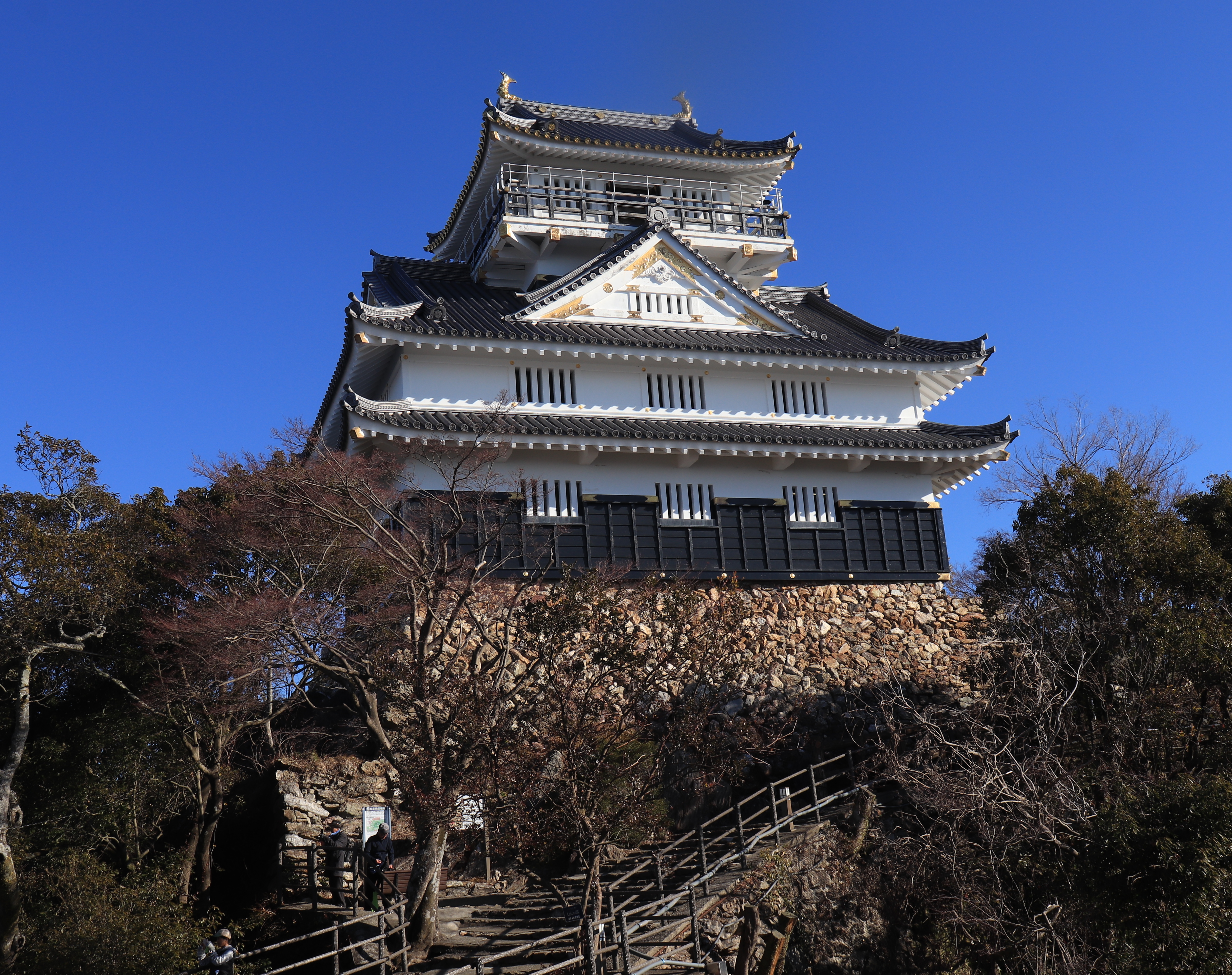 Gifu Castle (2019 01 13)