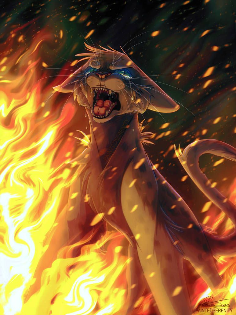 Ashfur's Fire