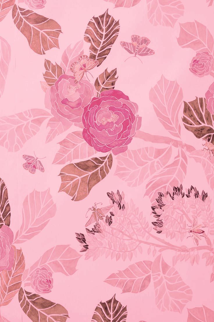 Dusty Pink Wallpaper Free Dusty Pink Background
