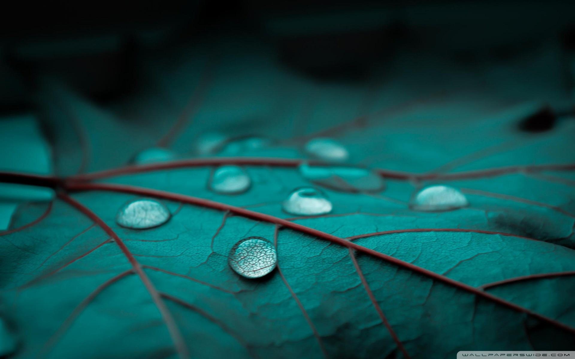 Emerald HD Wallpaper