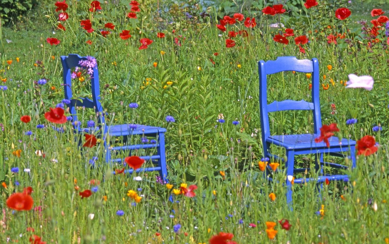 Summer Garden Desktop Wallpaper Free Summer Garden Desktop Background