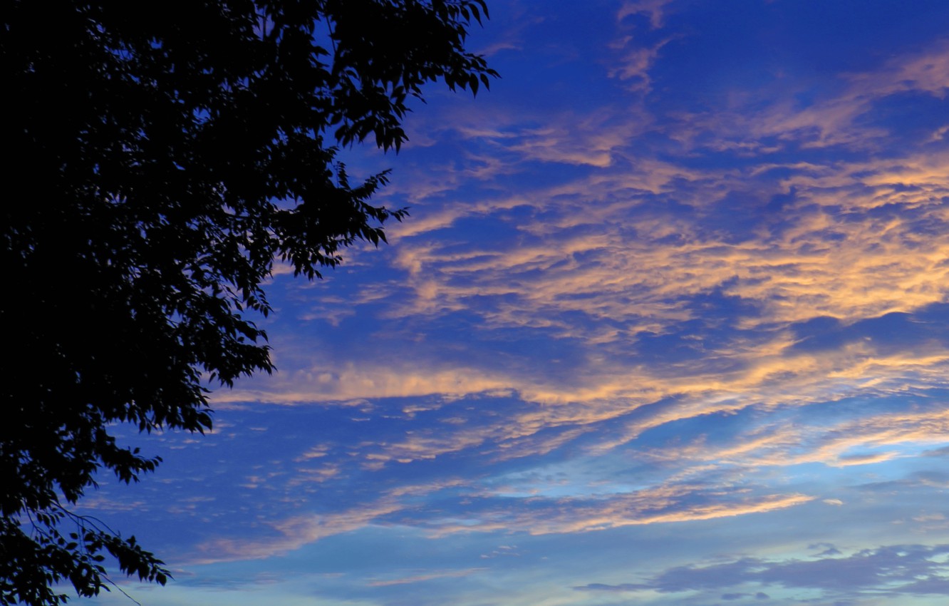 Wallpaper summer, clouds, background, Clouds, cover, dawn image for desktop, section природа