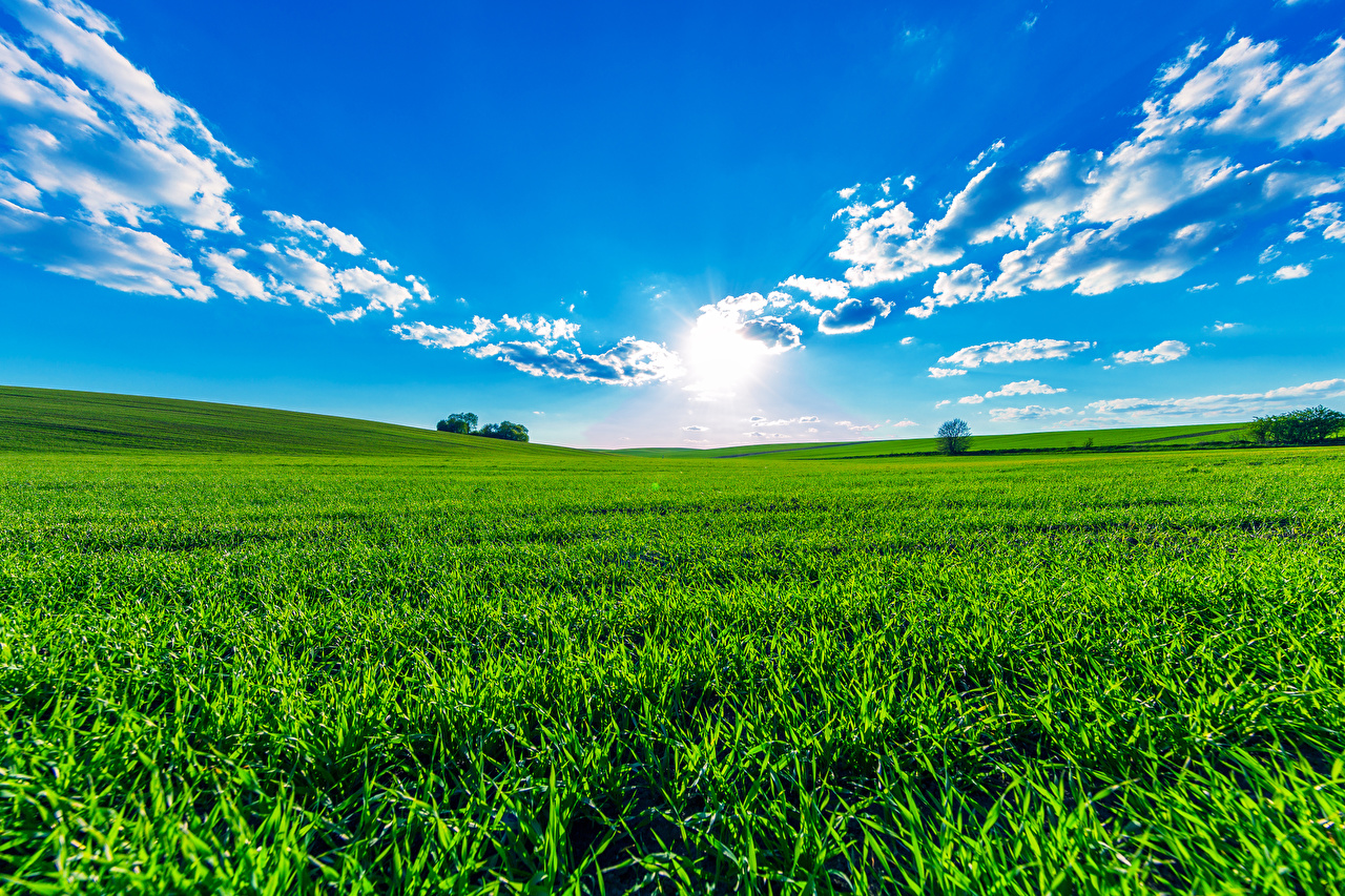 Desktop Wallpaper Summer Nature Sky Fields Scenery Clouds