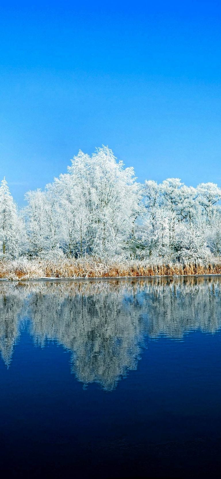 Free Xiaomi Mi CC9 Phone Wallpaper 2022