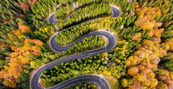 Winding road, highway, aerial view, forest wallpaper, HD image, picture, background, 9a7a05