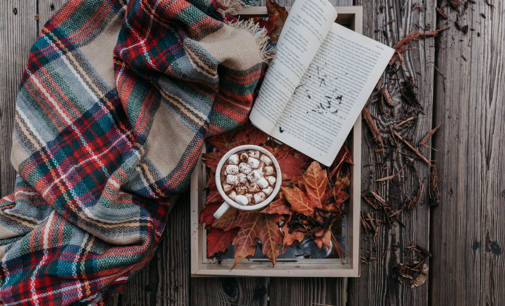 Cozy Fall Essentials that you need in your life