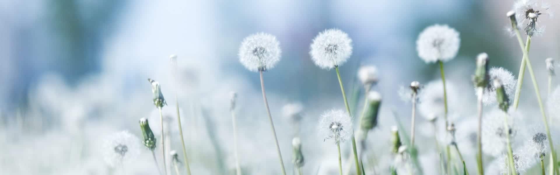 Smile Gallery Before and After Photo Grove Dental Studio