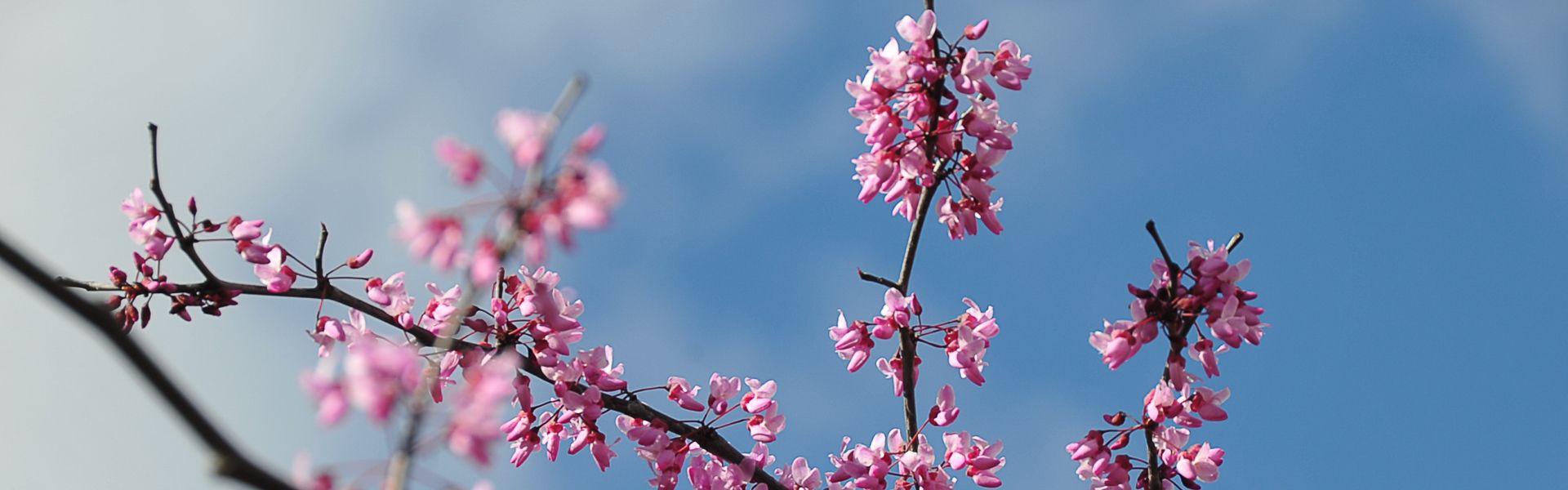 Student Support Resources