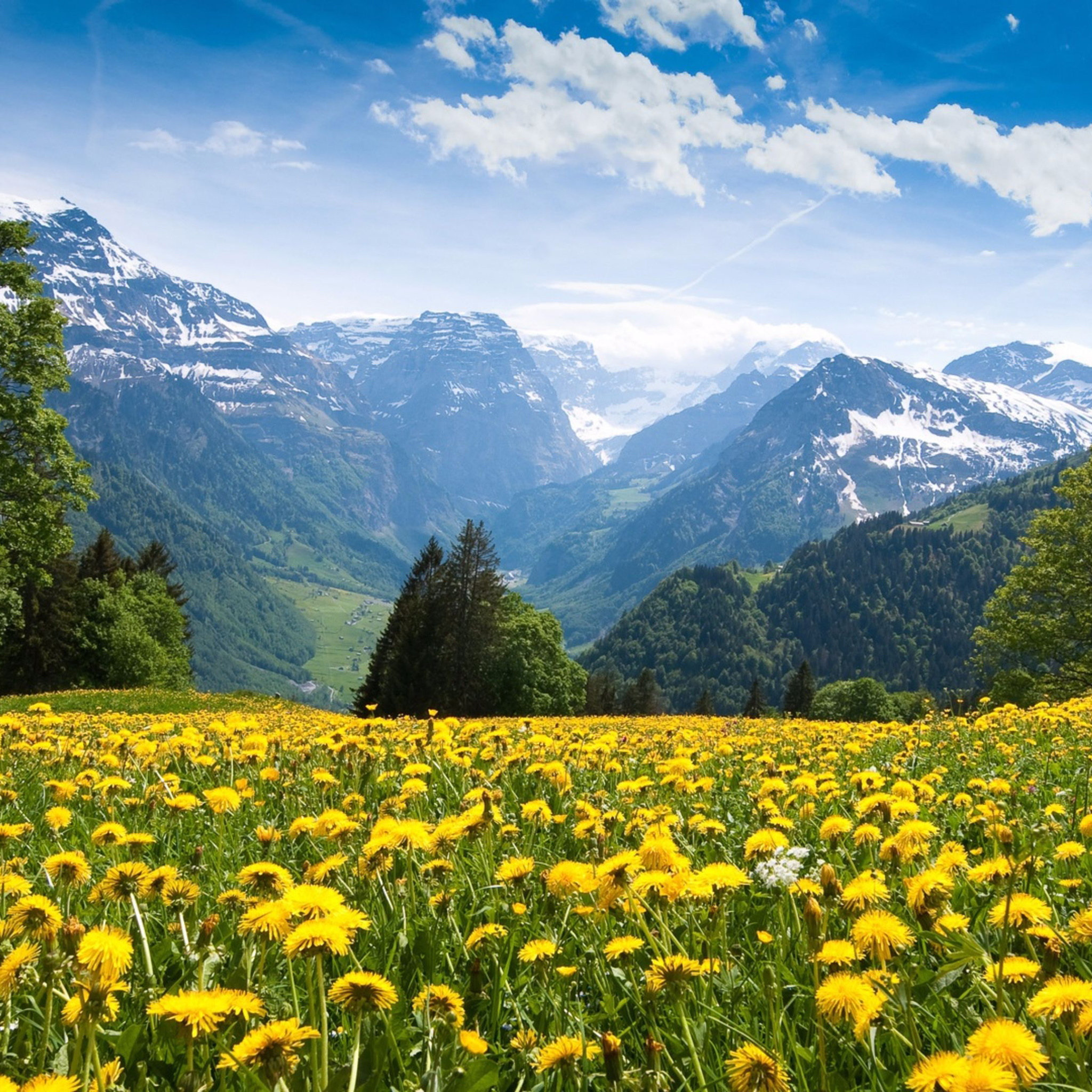 4K Spring Wallpaper for Desktop, iPad & iPhone