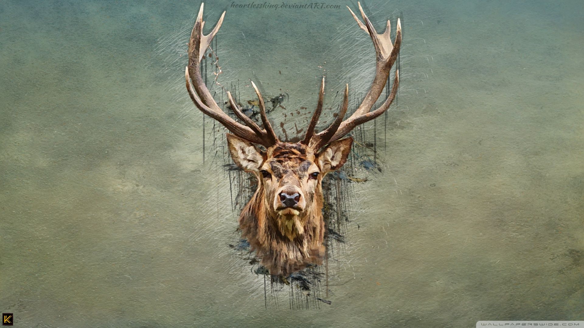 Deer Skull designs themes templates and downloadable graphic elements on  Dribbble