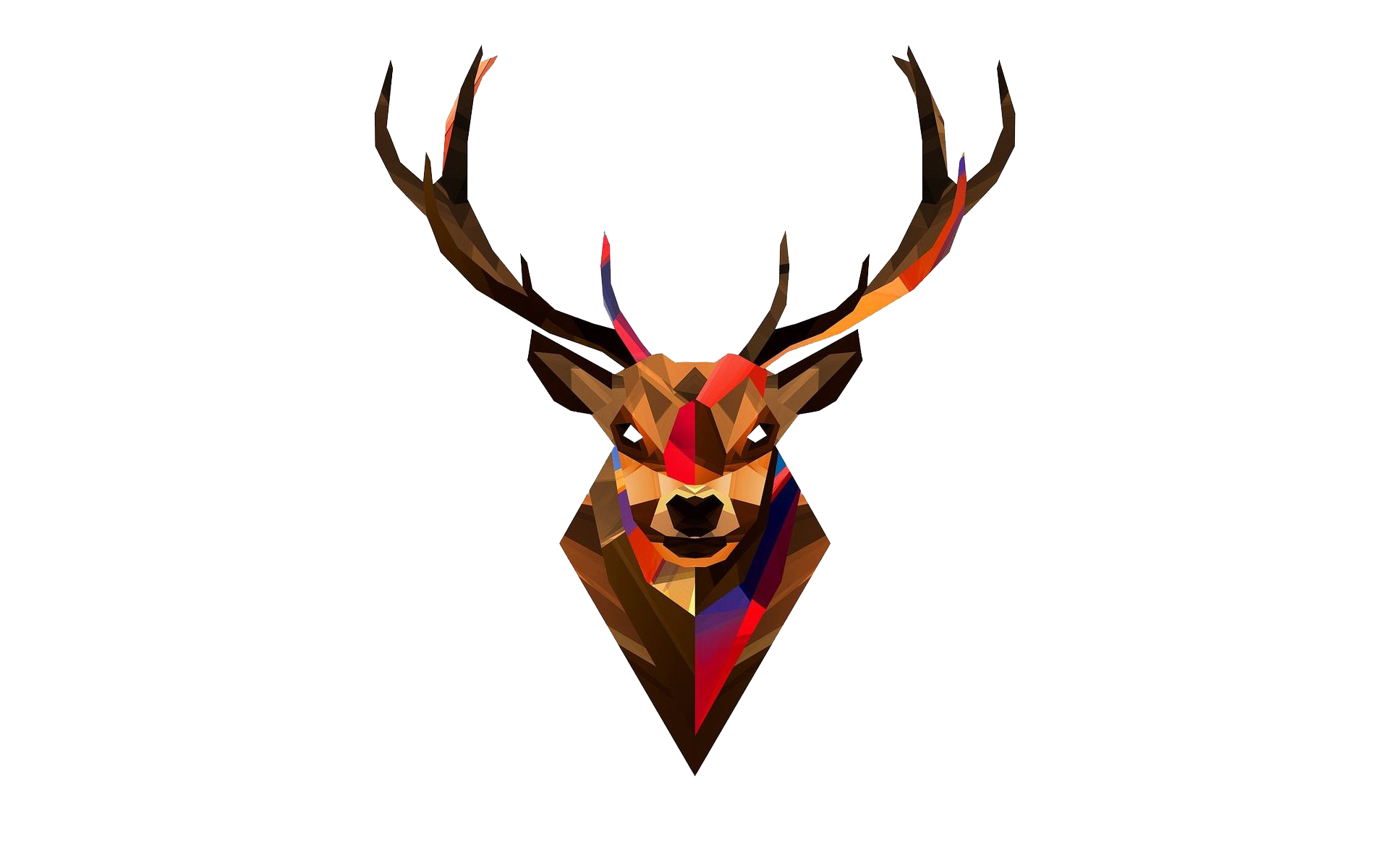 Red Deer Skull Wallpaper