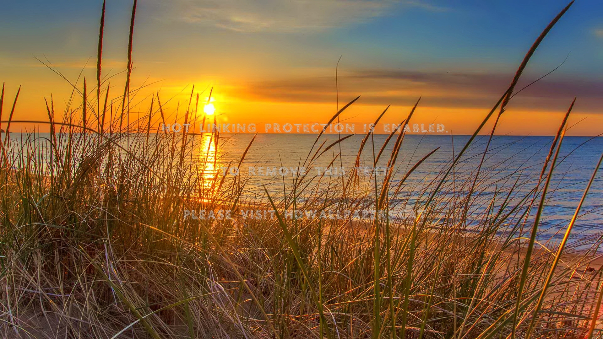 orange river sunset water summer amazing