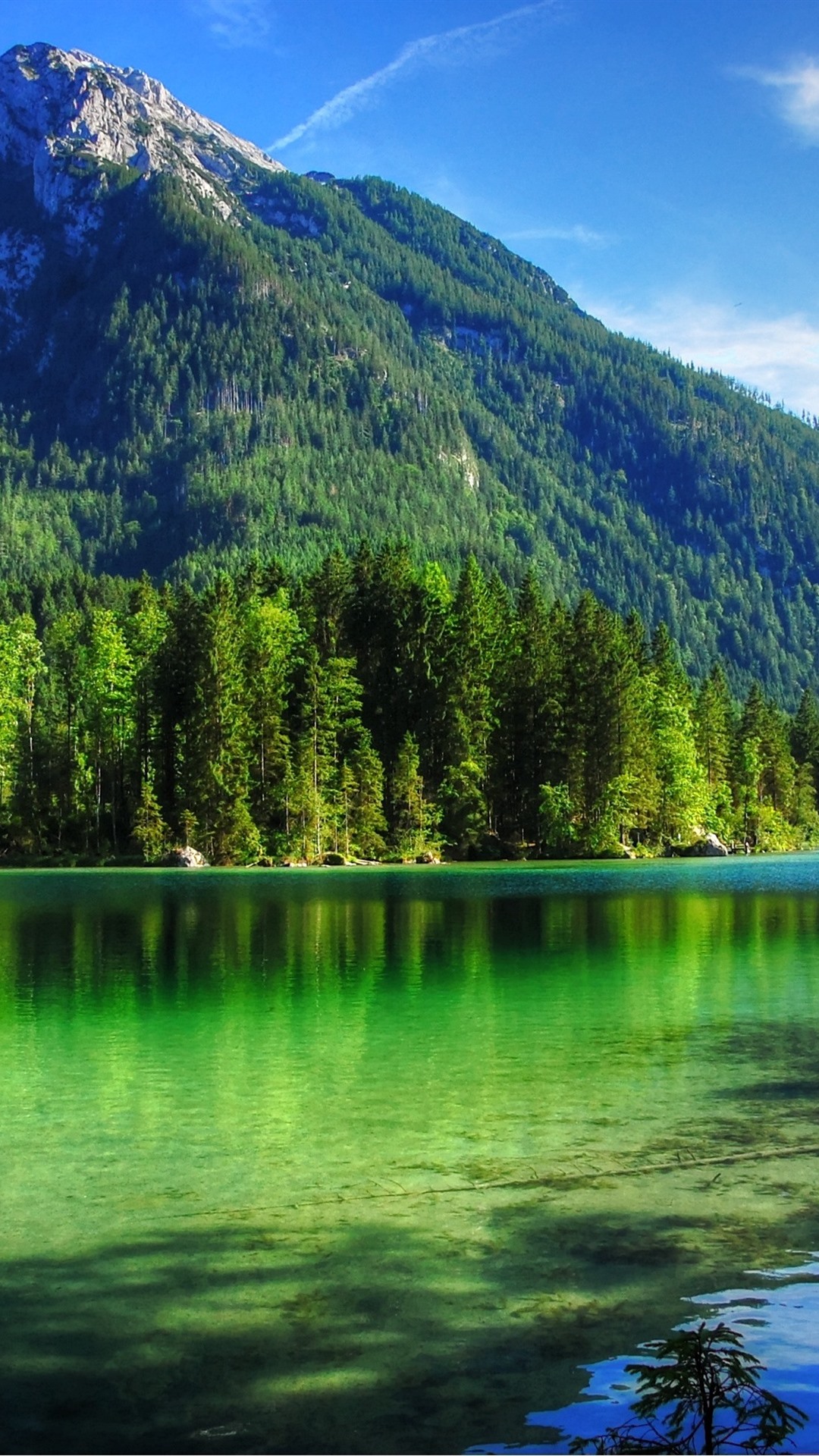 Clear Water, Lake, Trees, Mountains, Summer 1080x1920 IPhone 8 7 6 6S Plus Wallpaper, Background, Picture, Image