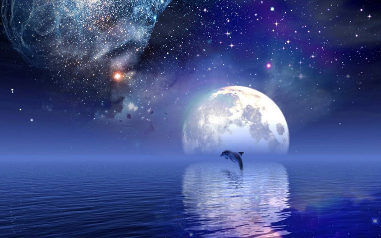 Free download 30 Dolphin Desktop Wallpaper Design Trends Premium [1280x800] for your Desktop, Mobile & Tablet. Explore Wallpaper For Desktop. Summer Wallpaper For Desktop, Awesome Wallpaper For Desktop, Funny Wallpaper For Desktop