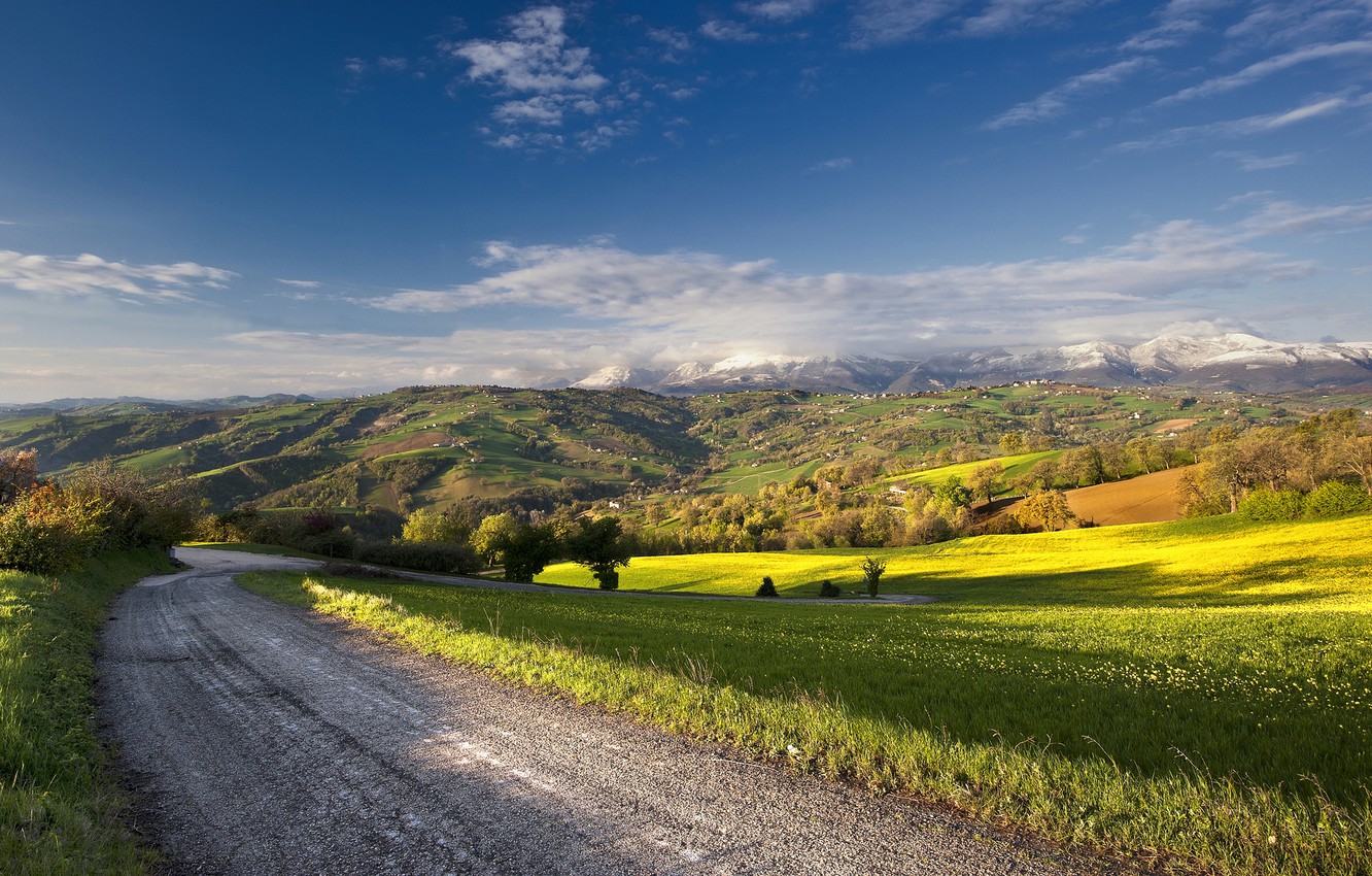 Wallpaper road, field, summer, landscape image for desktop, section пейзажи