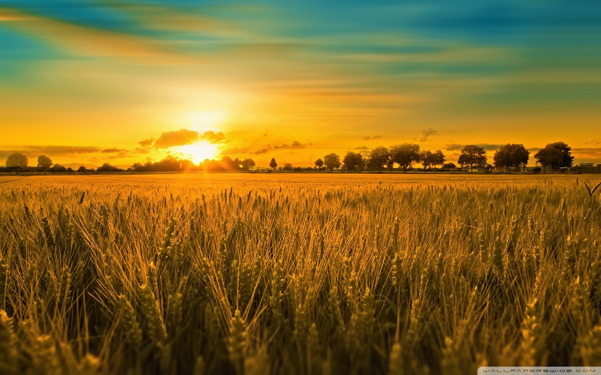 Summer Landscape Ultra HD Desktop Background Wallpaper for 4K UHD TV, Tablet