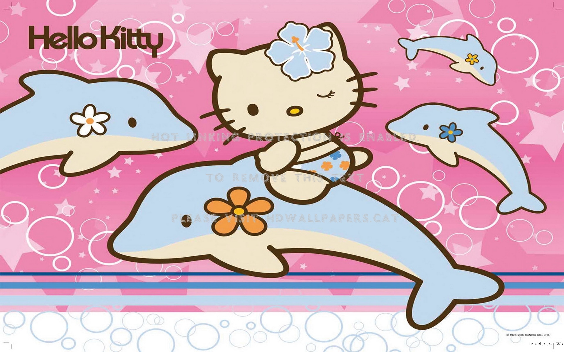 dolphin kitty fun summer hello
