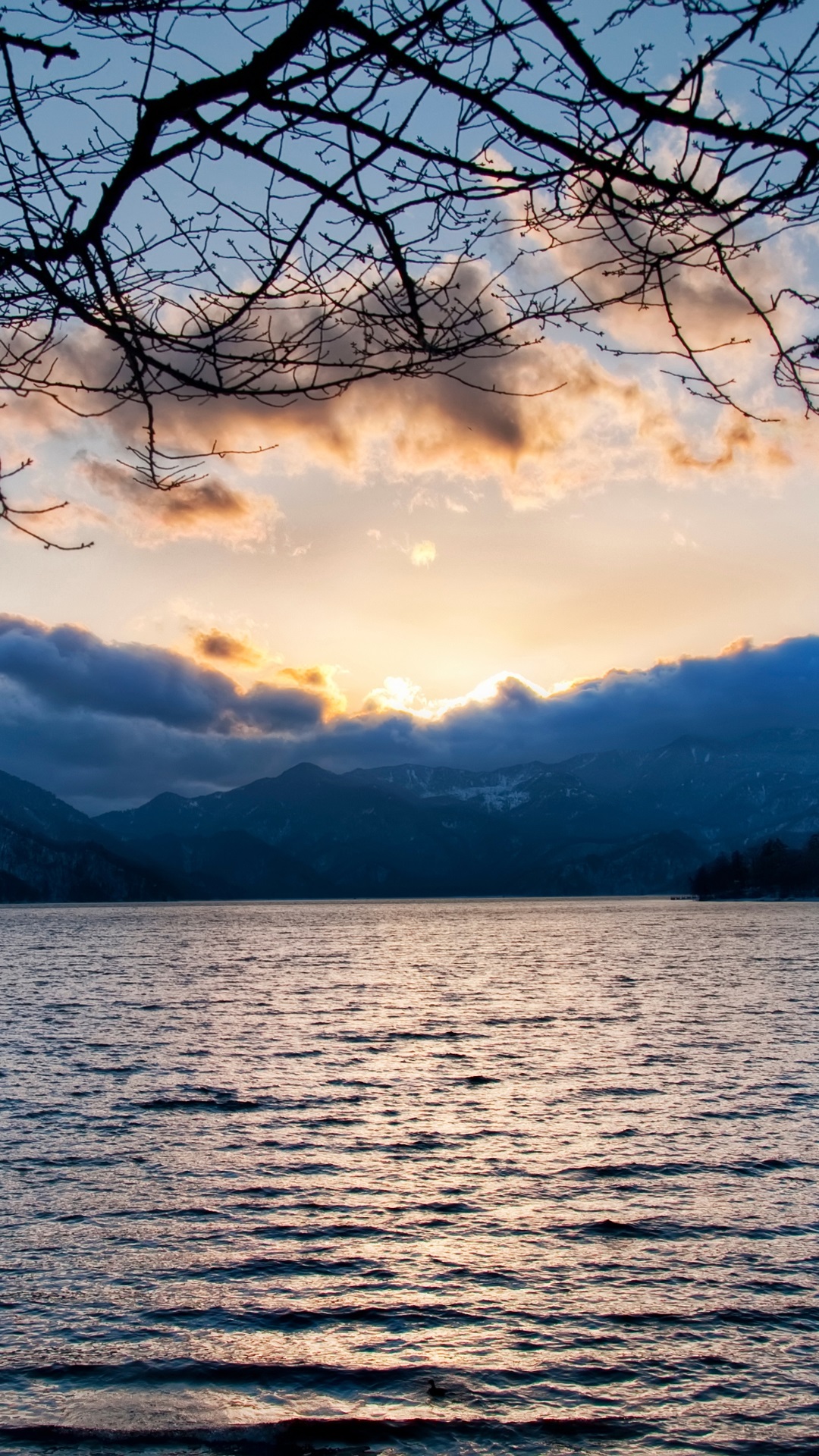 Lake, clouds, mountains, twigs, sunset iPhone X 3GS wallpaper download