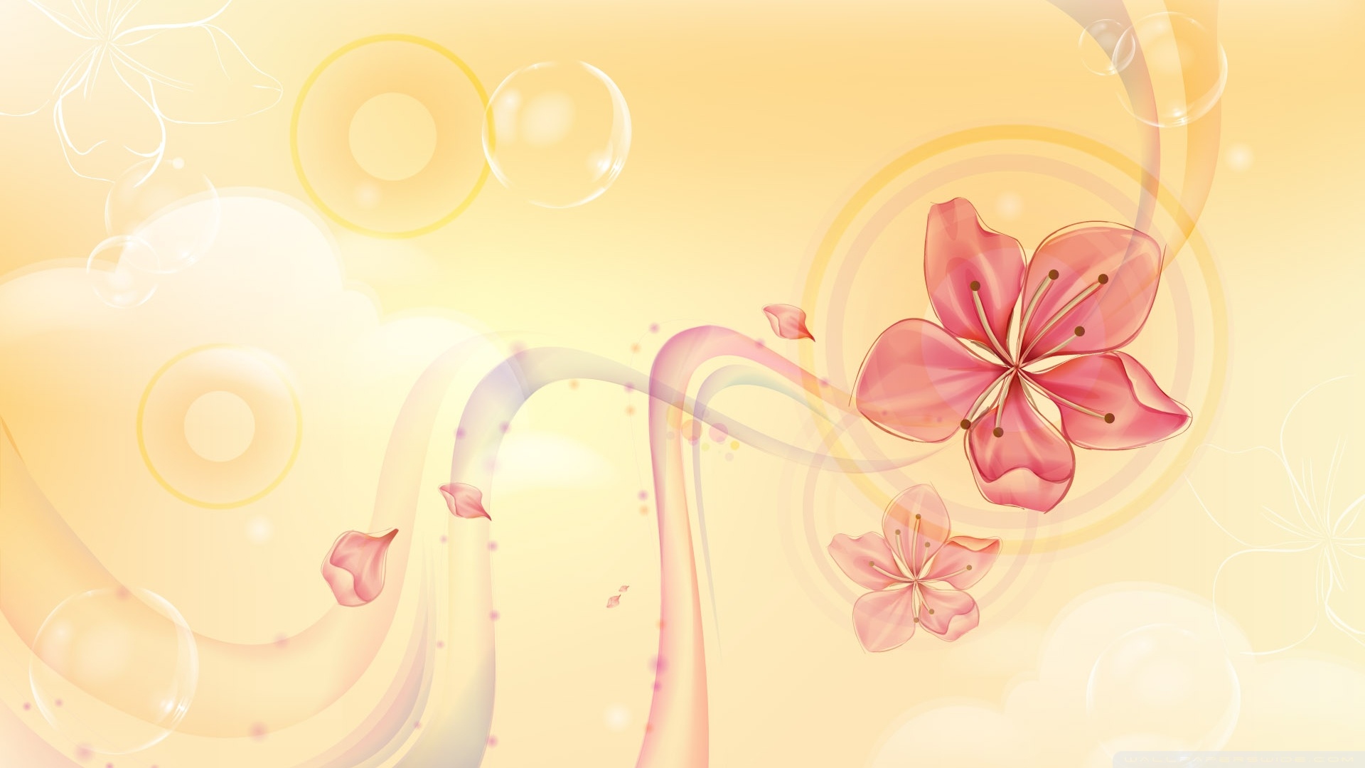 Summer Flower Ultra HD Desktop Background Wallpaper for 4K UHD TV, Tablet