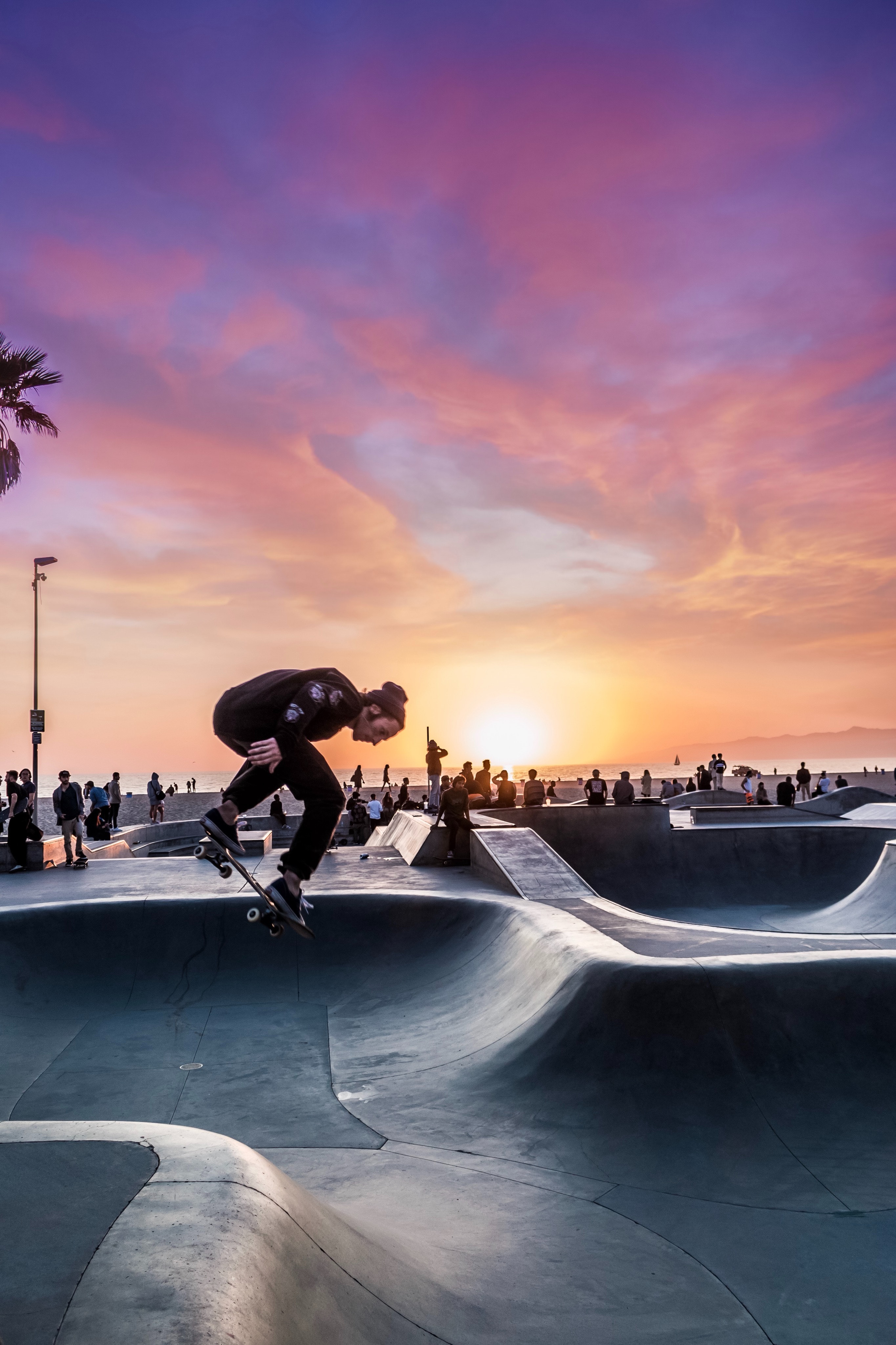 5,Best Free Skateboarding & Image · 100% Royalty Free HD Downloads