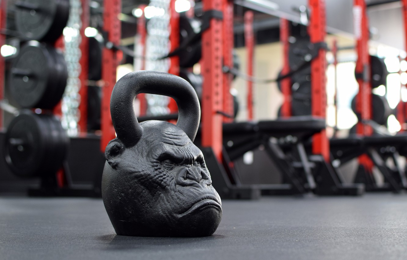 Wallpaper monkey, weight, gym image for desktop, section спорт