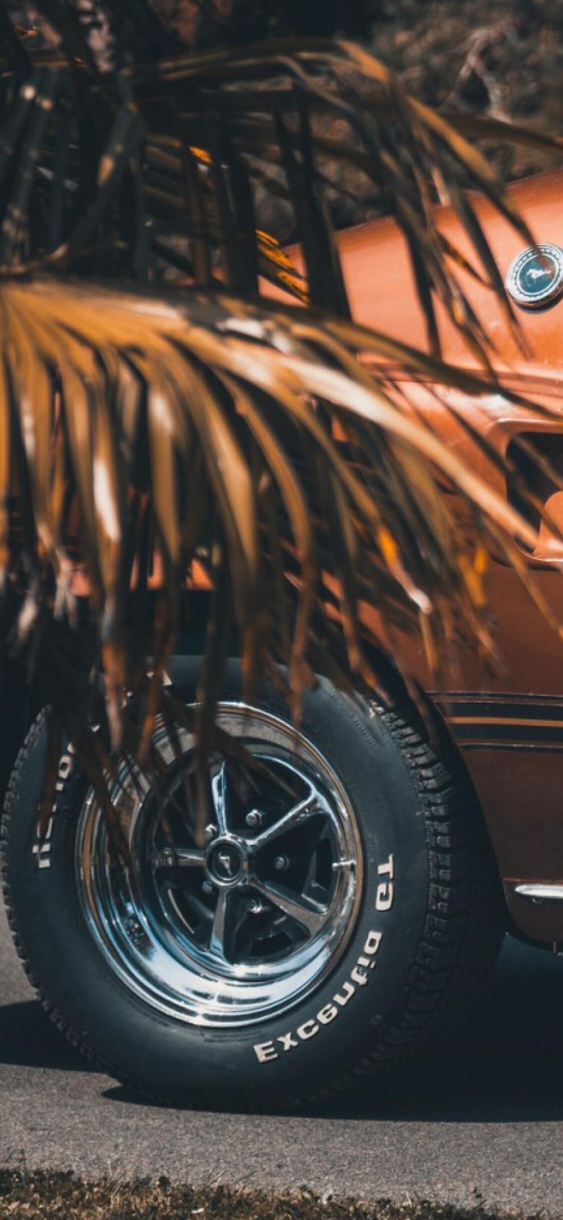 Ford Mustang 1969 iPhone XS, iPhone 10, iPhone X HD 4k Wallpaper, Image, Background, Photo and Picture