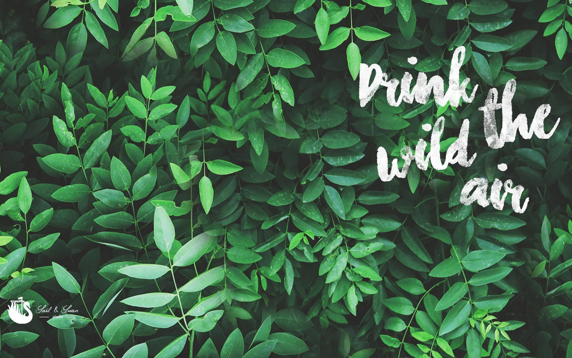 Green Aesthetic Background HD Free download