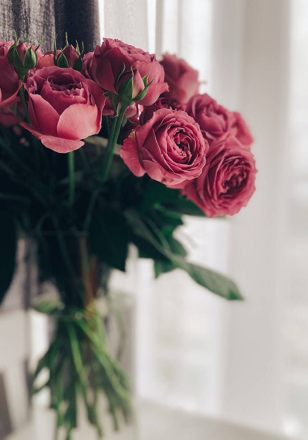 Red Roses Bouquet Picture. Download Free Image