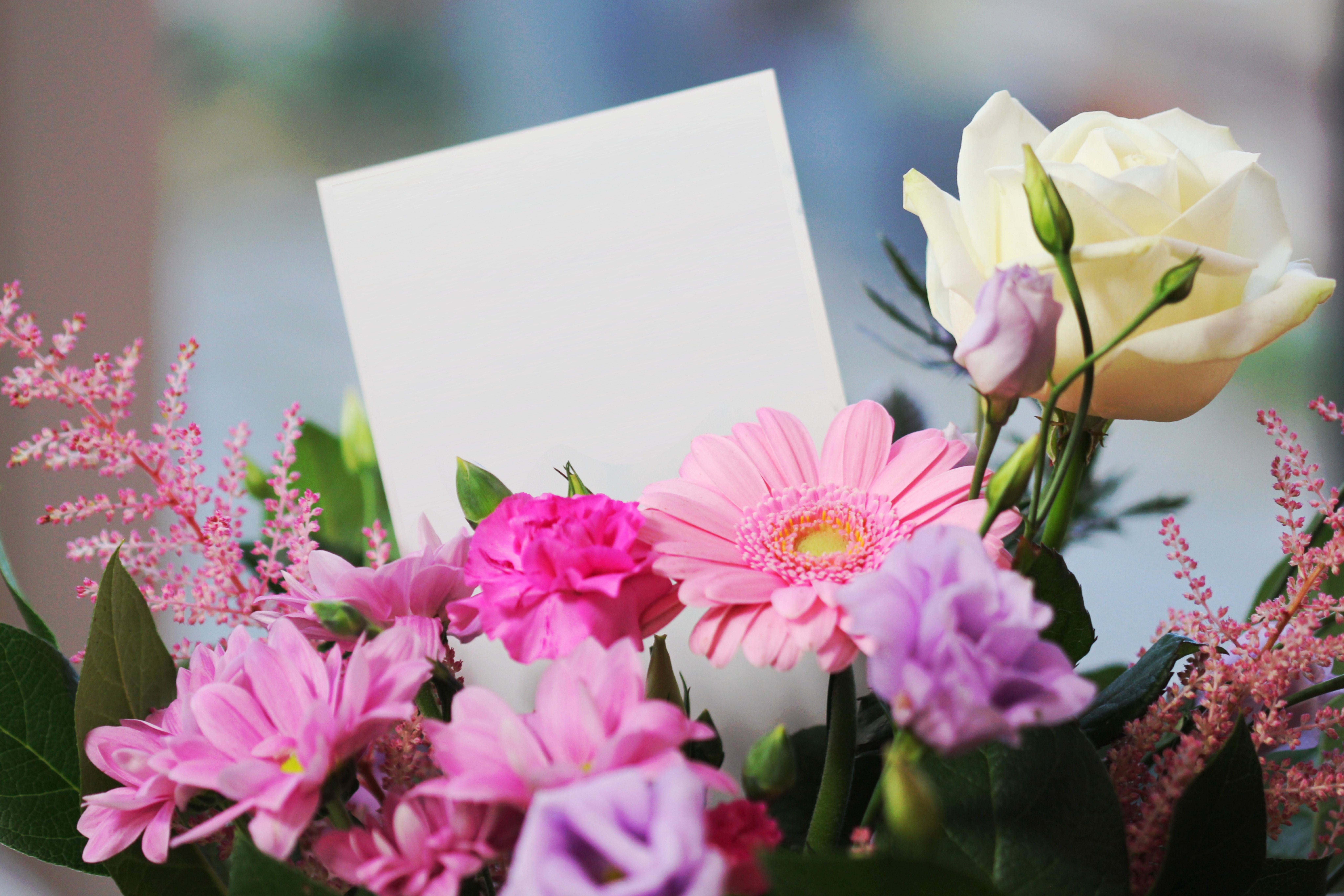 105,Best Free Flower Bouquet & Image · 100% Royalty Free HD Downloads