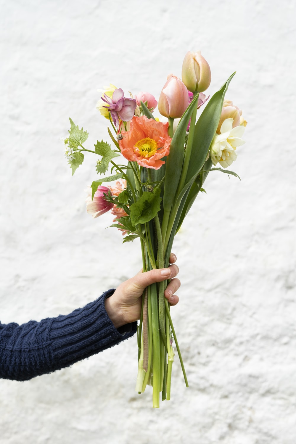 Spring Bouquet Picture. Download Free Image