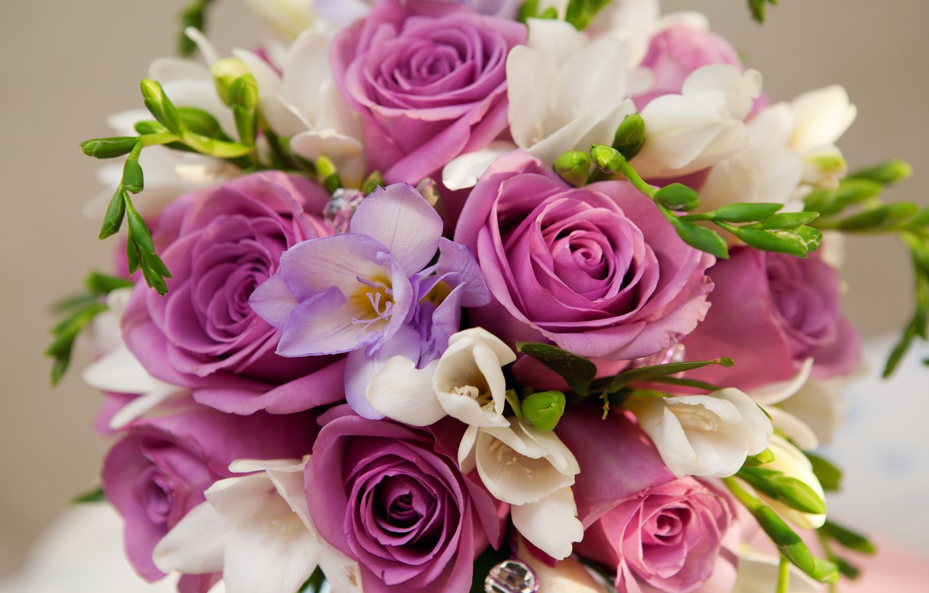 Wallpaper purple, flowers, roses, bouquet, roses, Bouquet, Violet Flowers image for desktop, section цветы