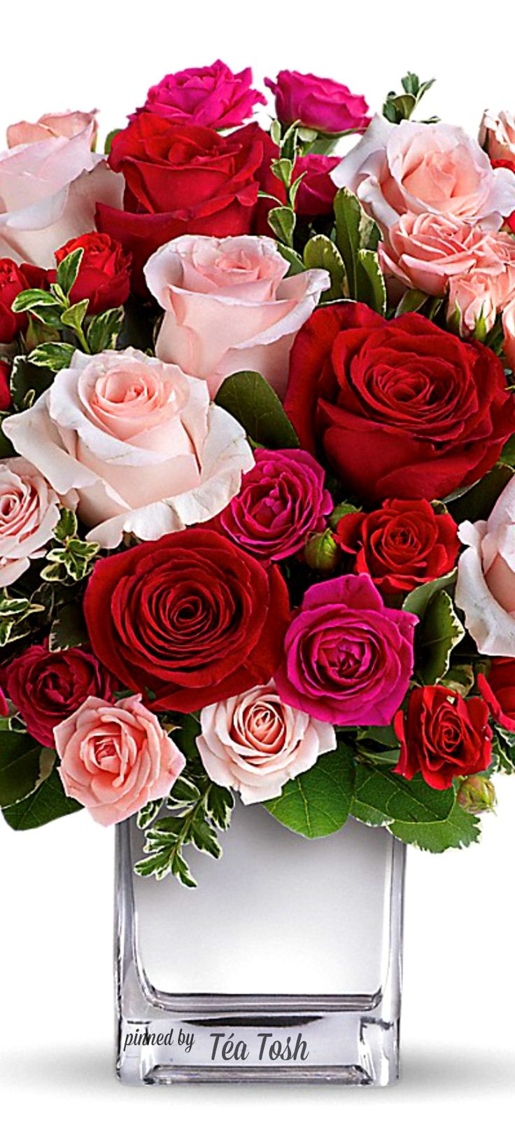 ❇Téa Tosh❇LOVE Medley Bouquet w/ Red Roses Thank you for the beautiful roses, love,. Birthday flowers bouquet, Beautiful roses bouquet, Good morning flowers rose