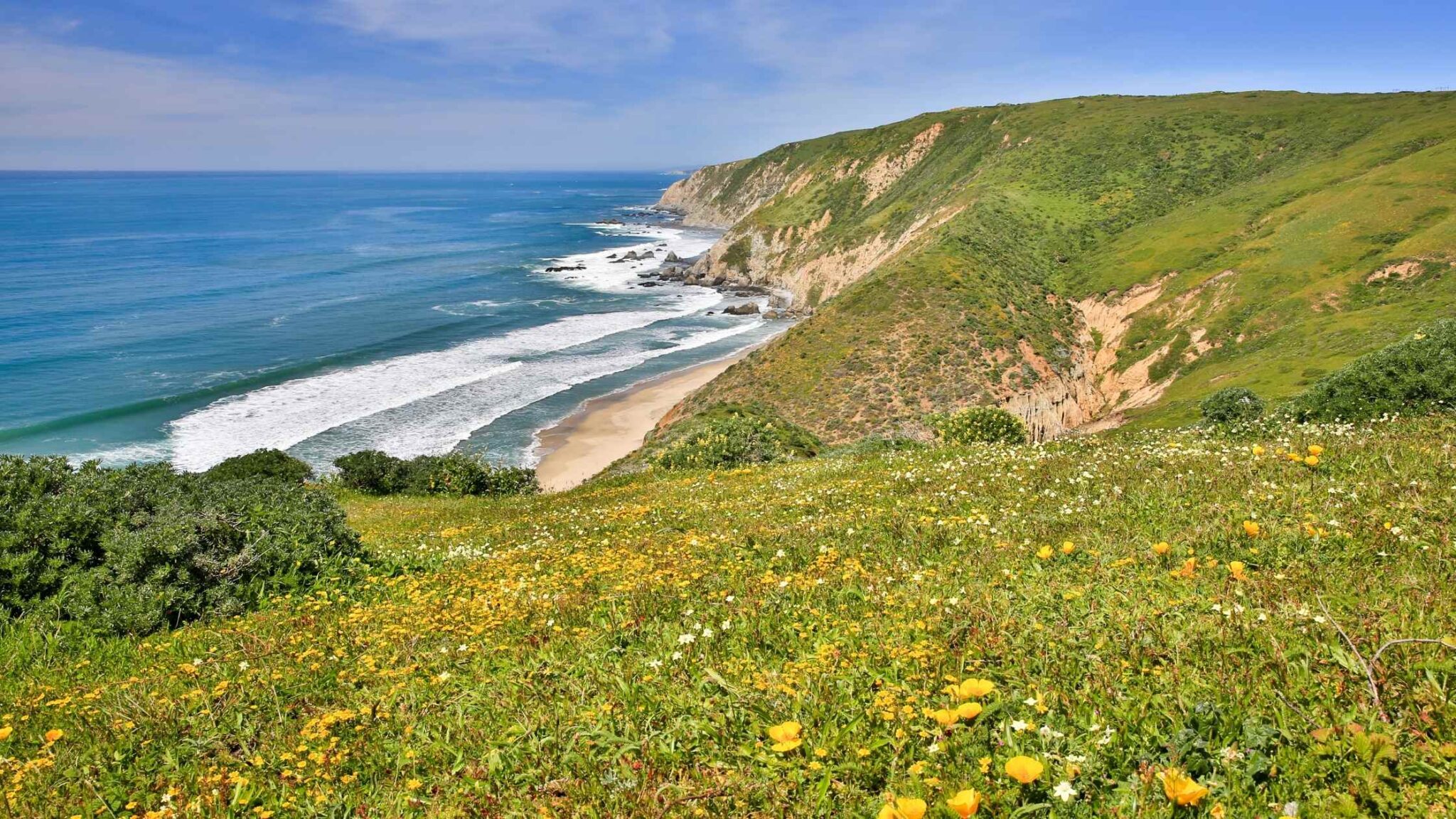 Best Hikes In Point Reyes In California You Should Plan