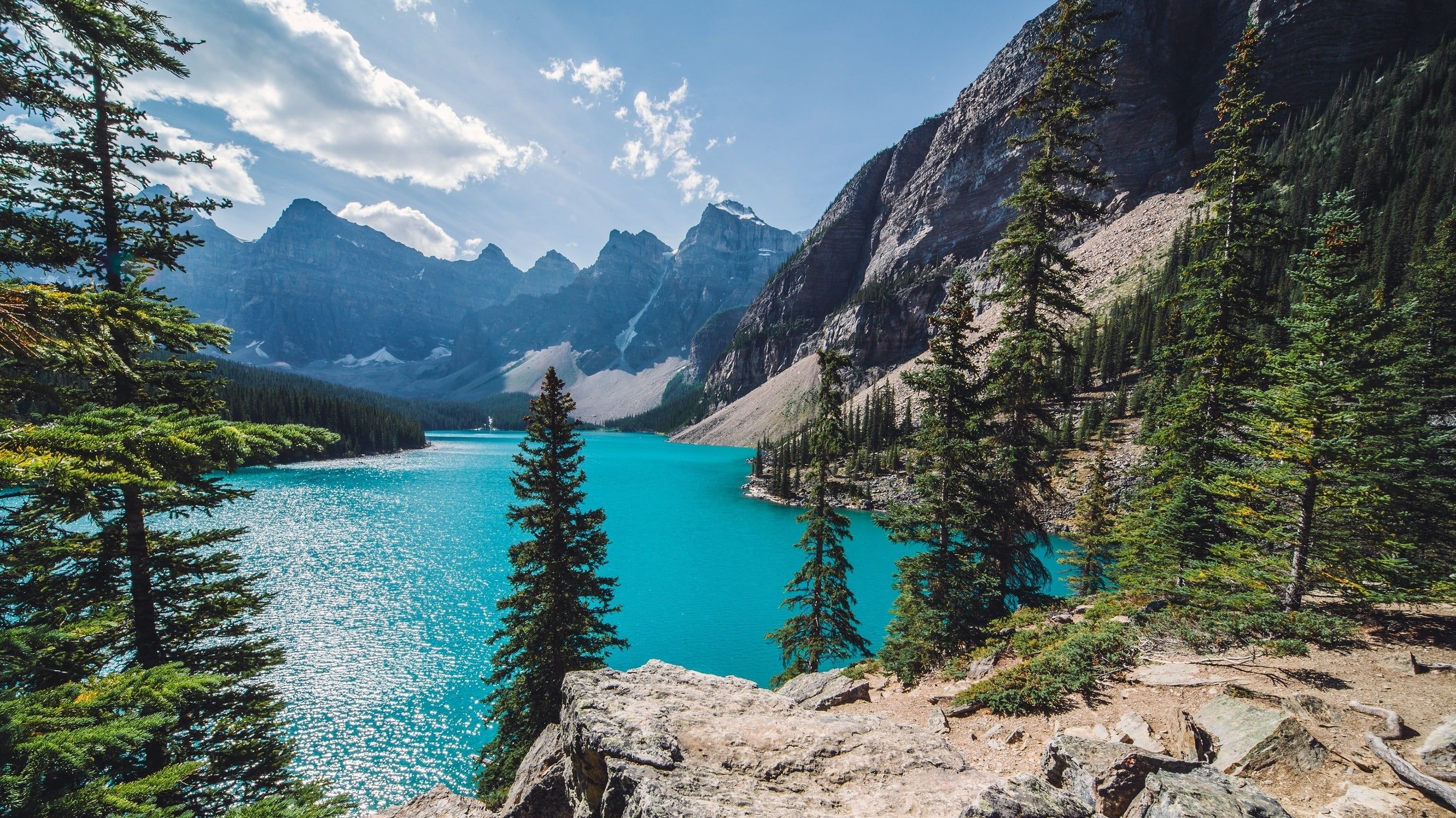 green trees #nature #landscape Moraine Lake #Canada #mountains #forest # summer #turquoise #water #trees K #wallpaper #hdwallpap. Moraine lake, Landscape, Nature