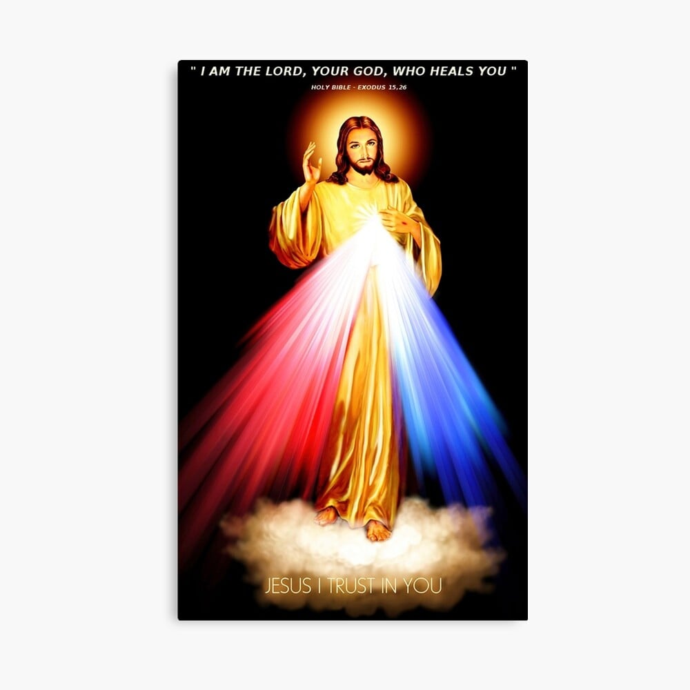 Divine Mercy Lord Jesus I trust in you Metal Print