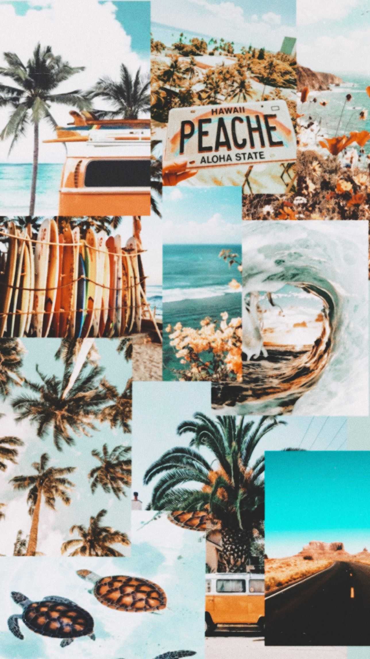Summer Vibes Wallpaper