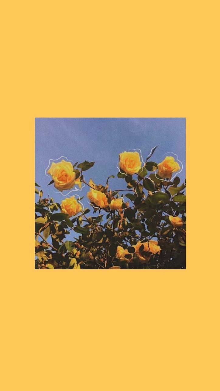 Mobile Wallpaper Aesthetic Phone Background
