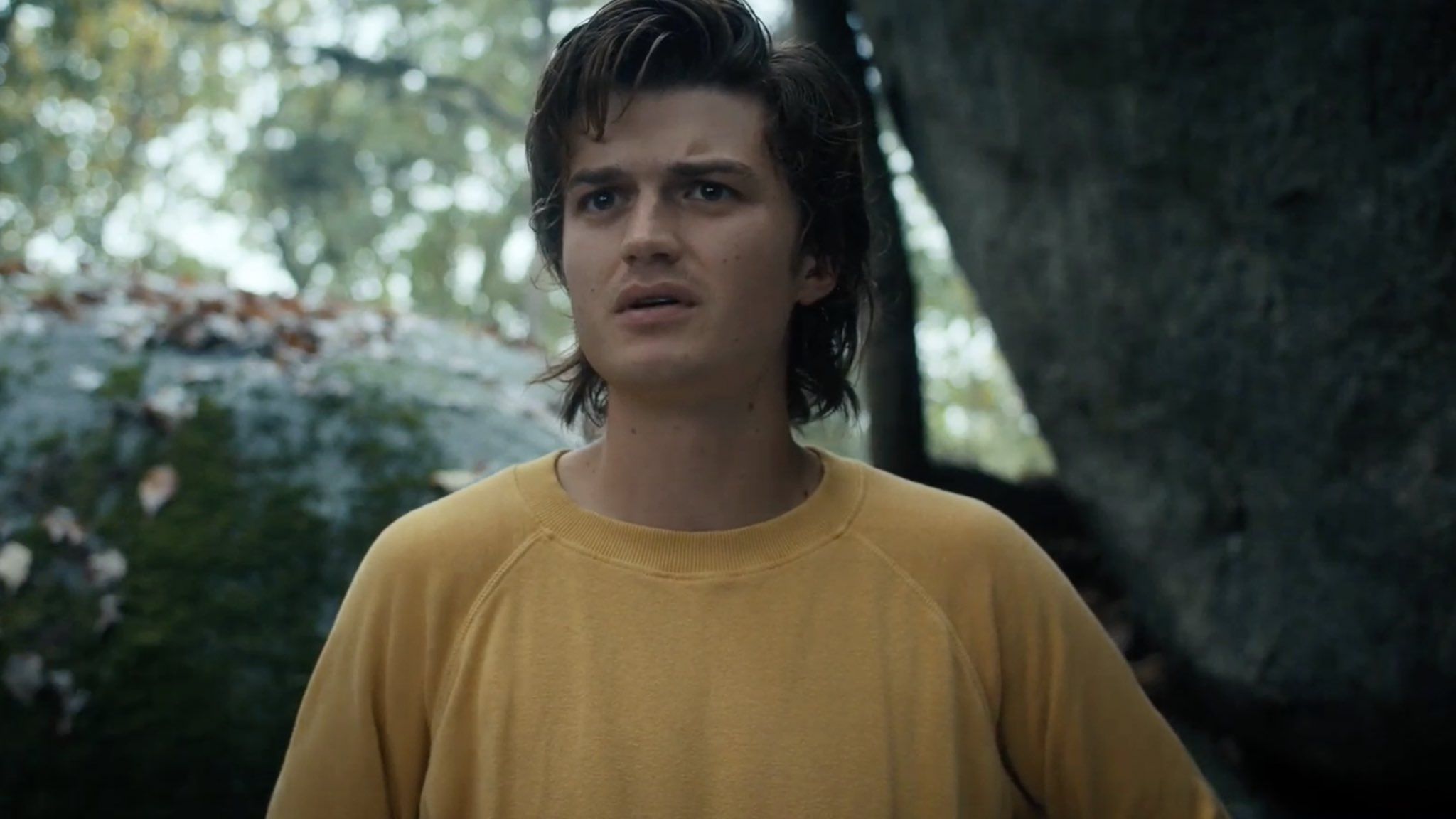 Stranger Things' Fans Threatening to Revolt If Steve Is Killed